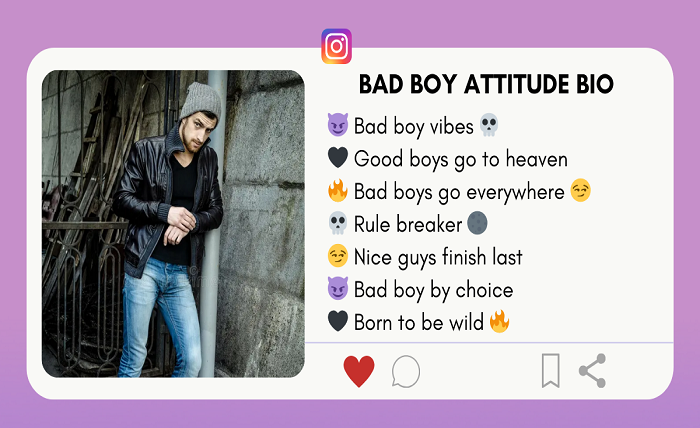 bio for instagram for boy attitude in hindi