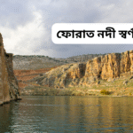 ফোরাত নদী স্বর্ণ: ইতিহাস ও বর্তমান অবস্থা